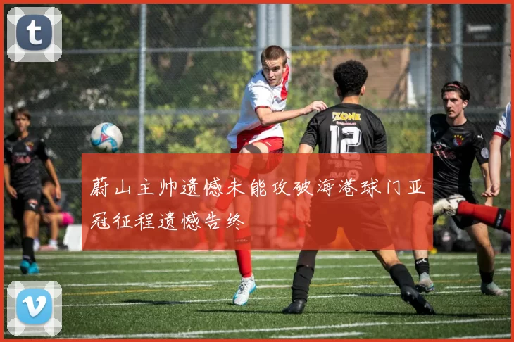 蔚山主帅遗憾未能攻破海港球门亚冠征程遗憾告终